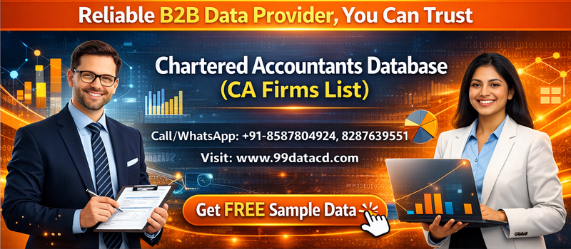Verified CA Firms Database Excel for Business Outreach