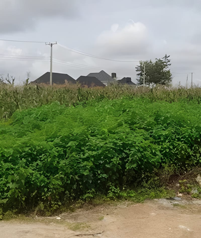 4000sqm mini estate land