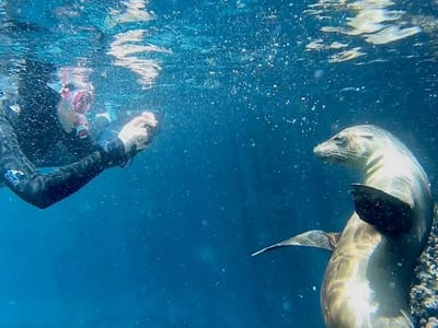 Galapagos Snorkeling: 8 Things to Know Before You Jump In