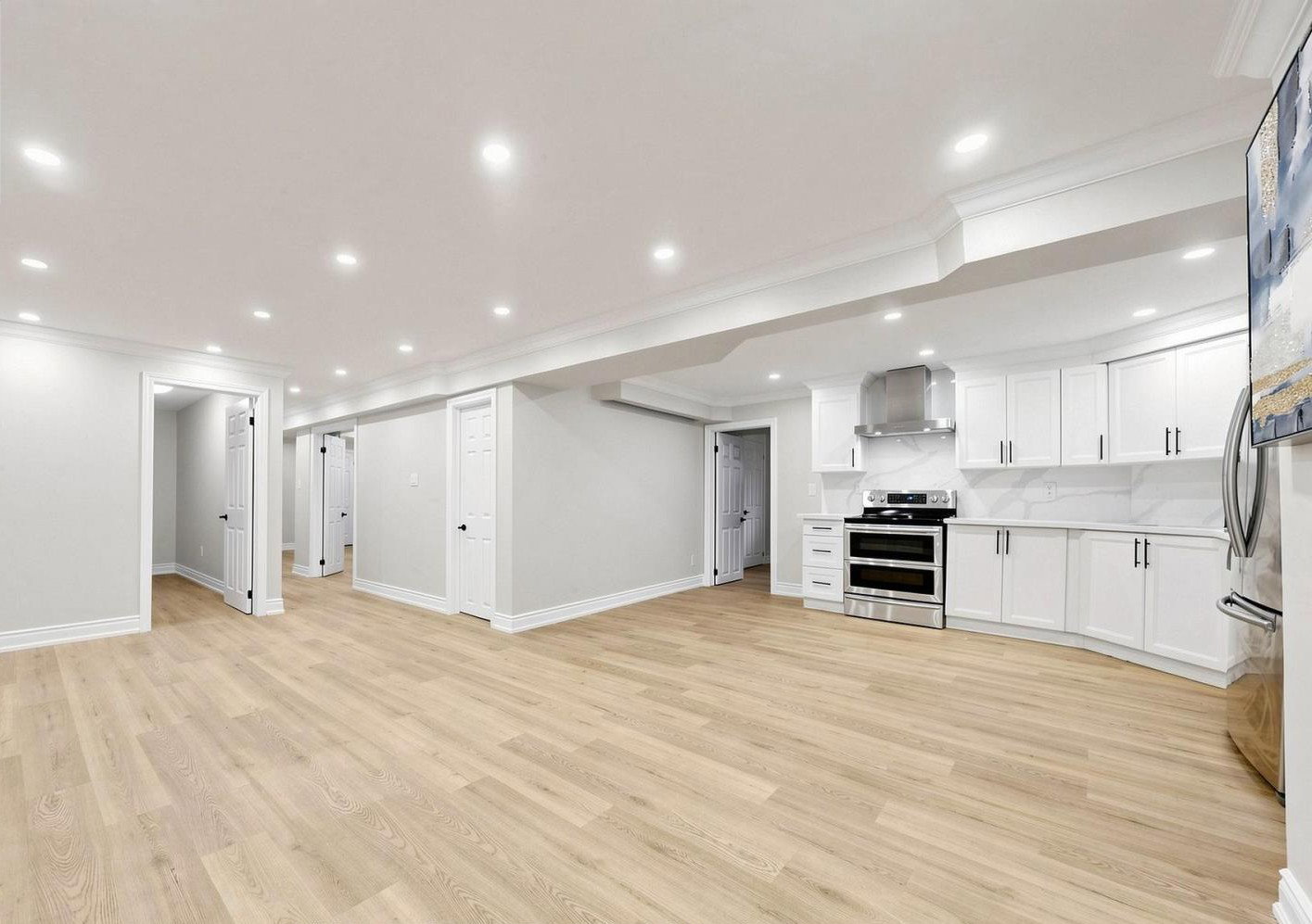 Regular Basement Renovation 