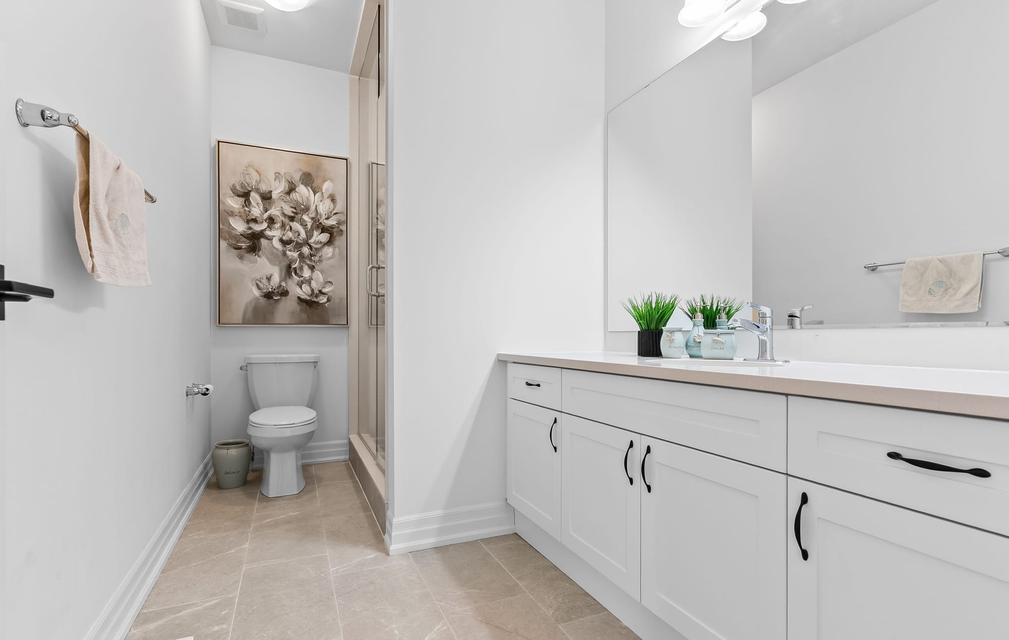 Full-home Renovation