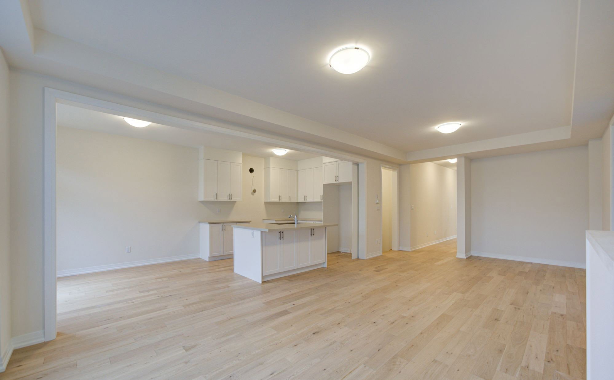 Main-floor Renovation