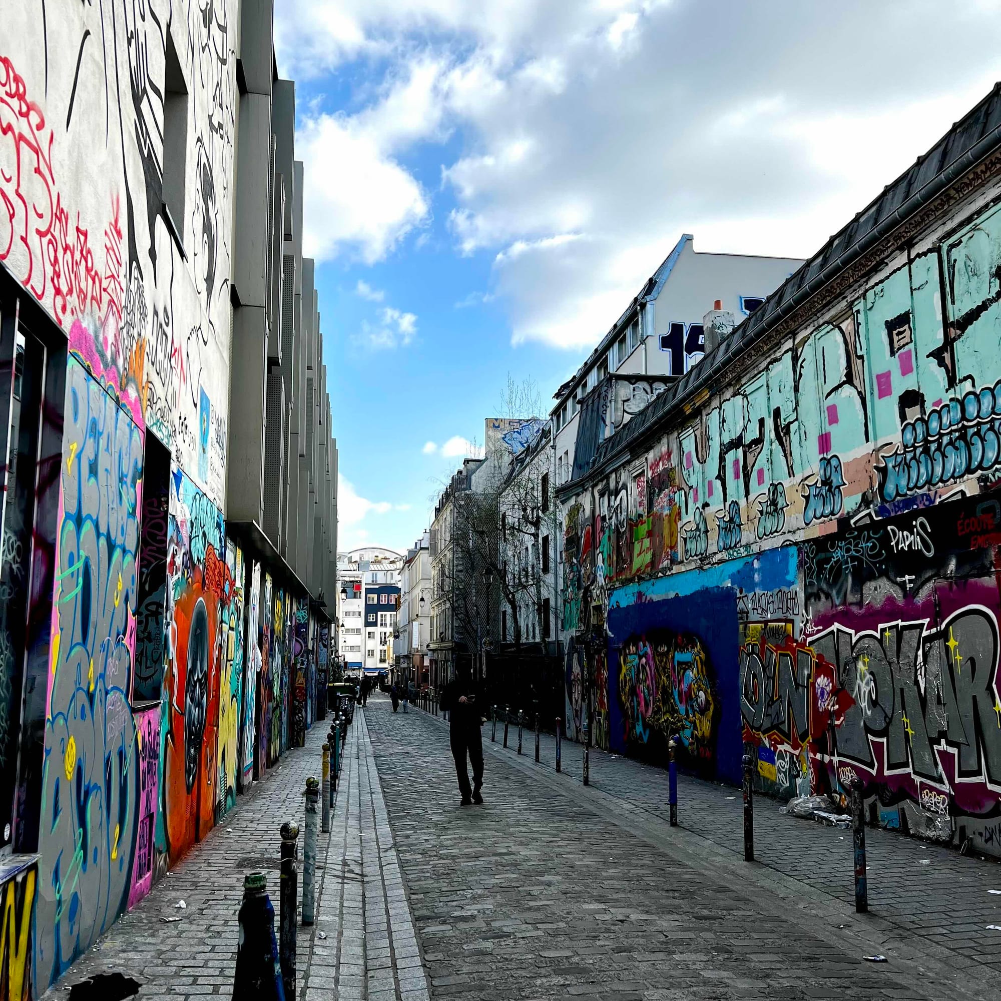 La rue Dénoyez de Belleville remplie de street-art