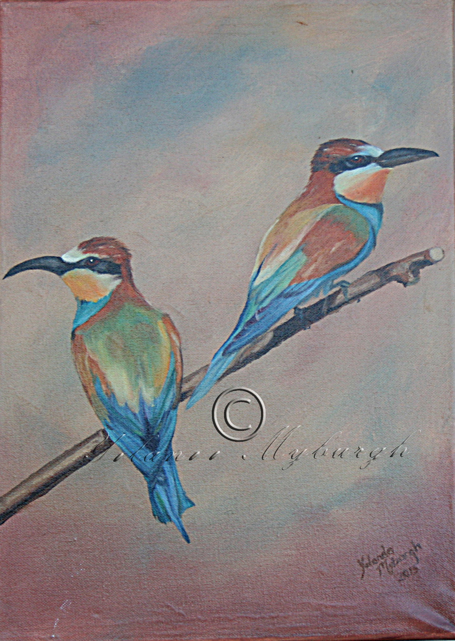 Bee eaters