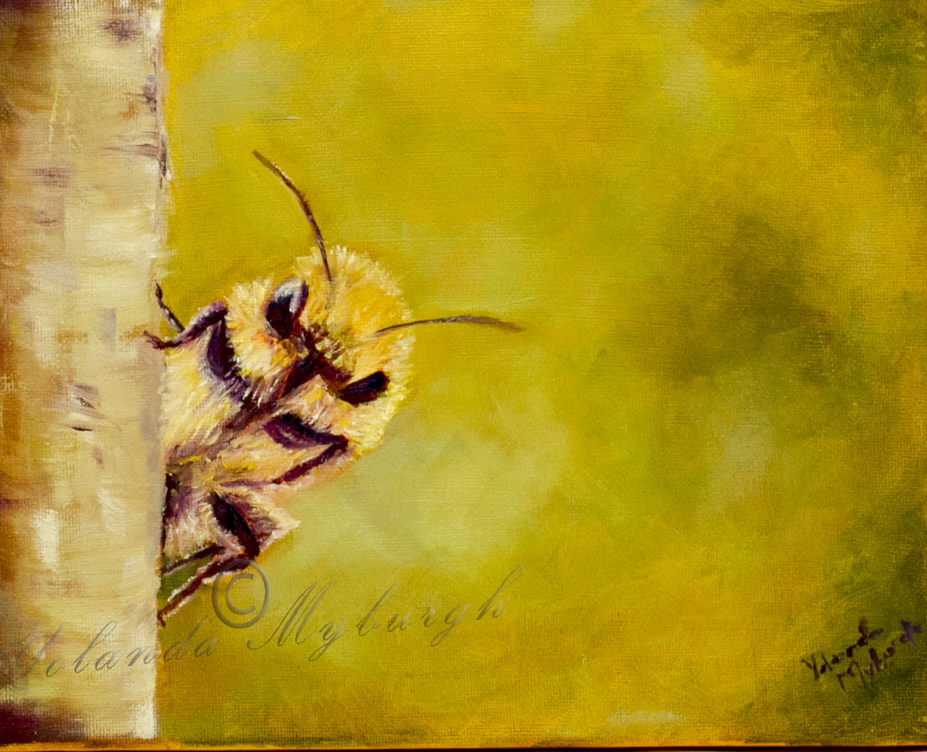 Little Bee