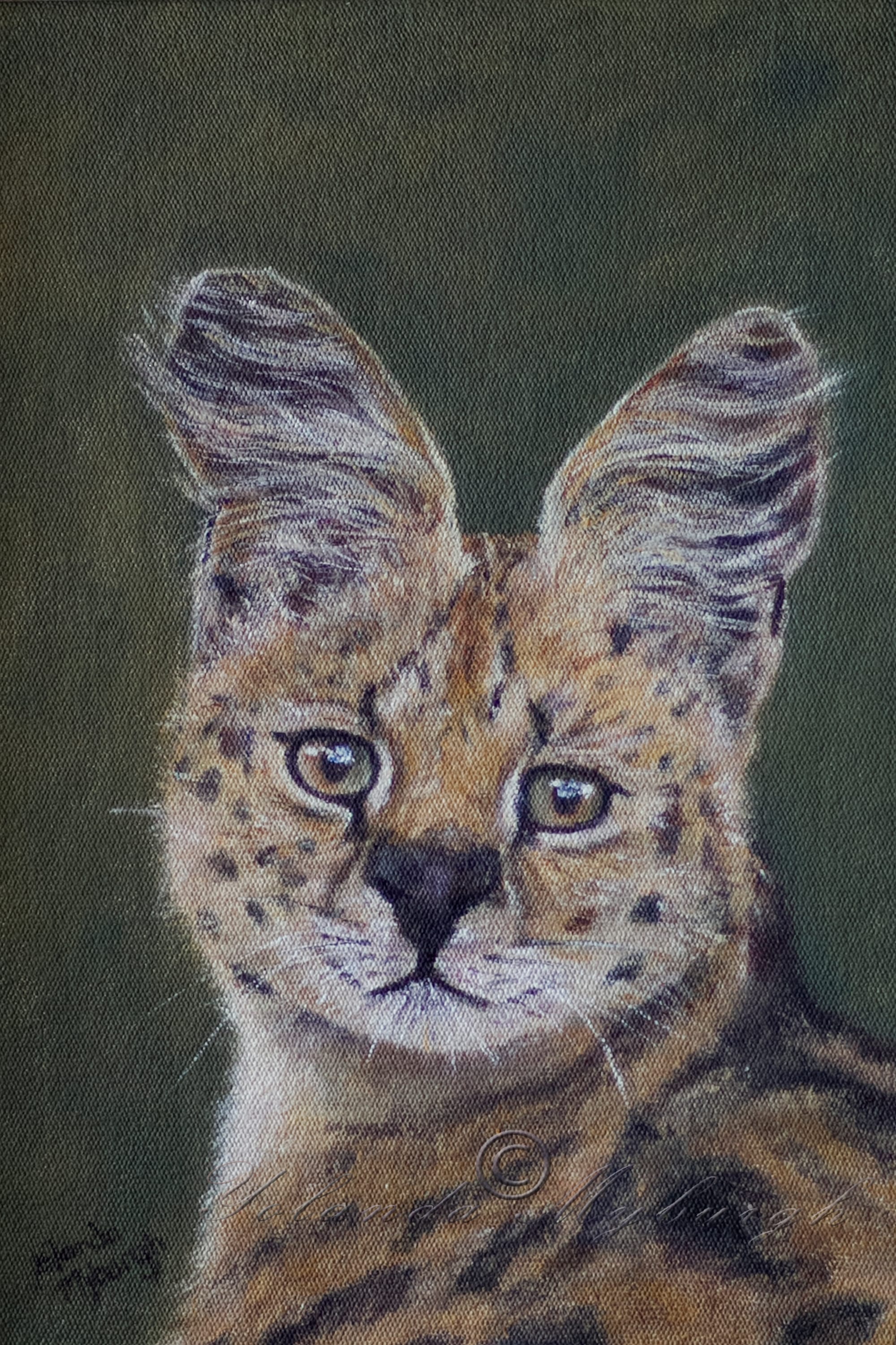 Silent Serval