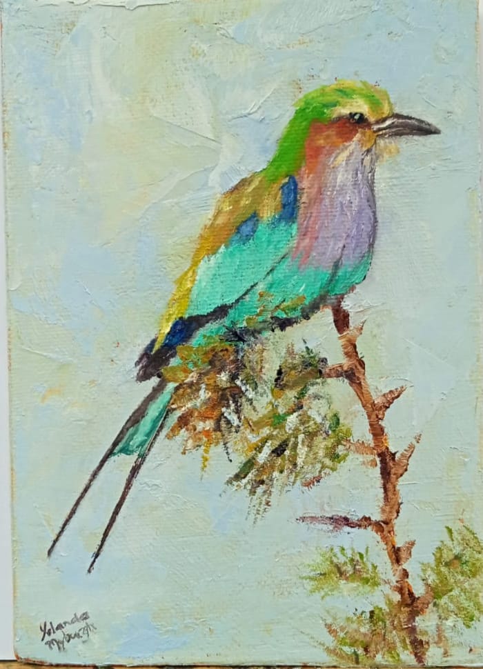 Lilac breasted roller