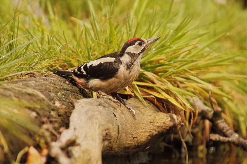 une journée à la drink station