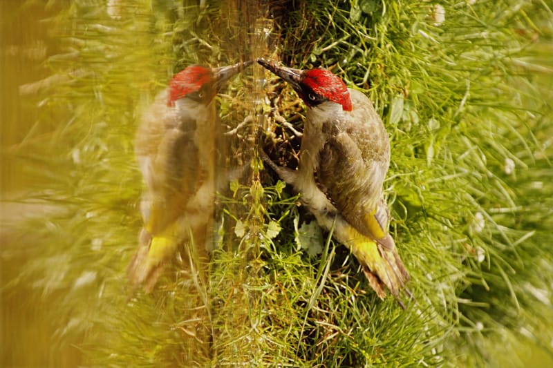 une journée à la drink station