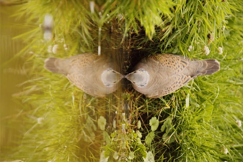 une journée à la drink station