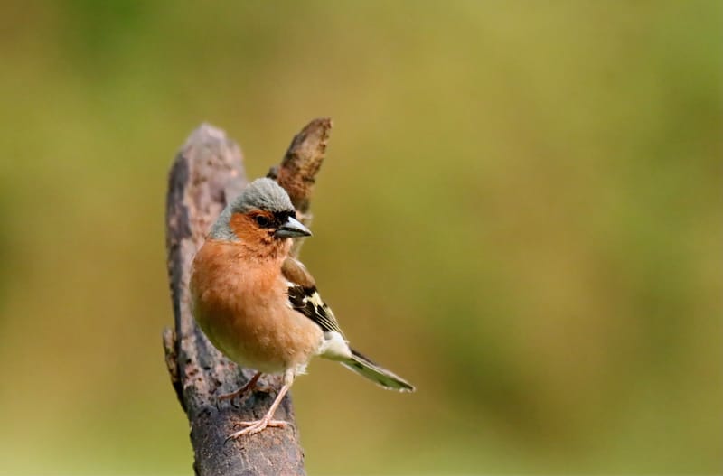une journée à la drink station