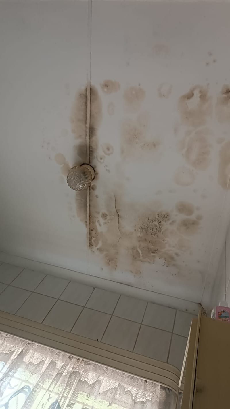 When to Replace Your Ceiling: Signs of Structural Damage and How to Fix It