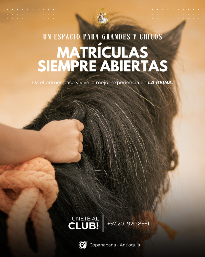 Top 10 esenciales para el equipo de chalanería