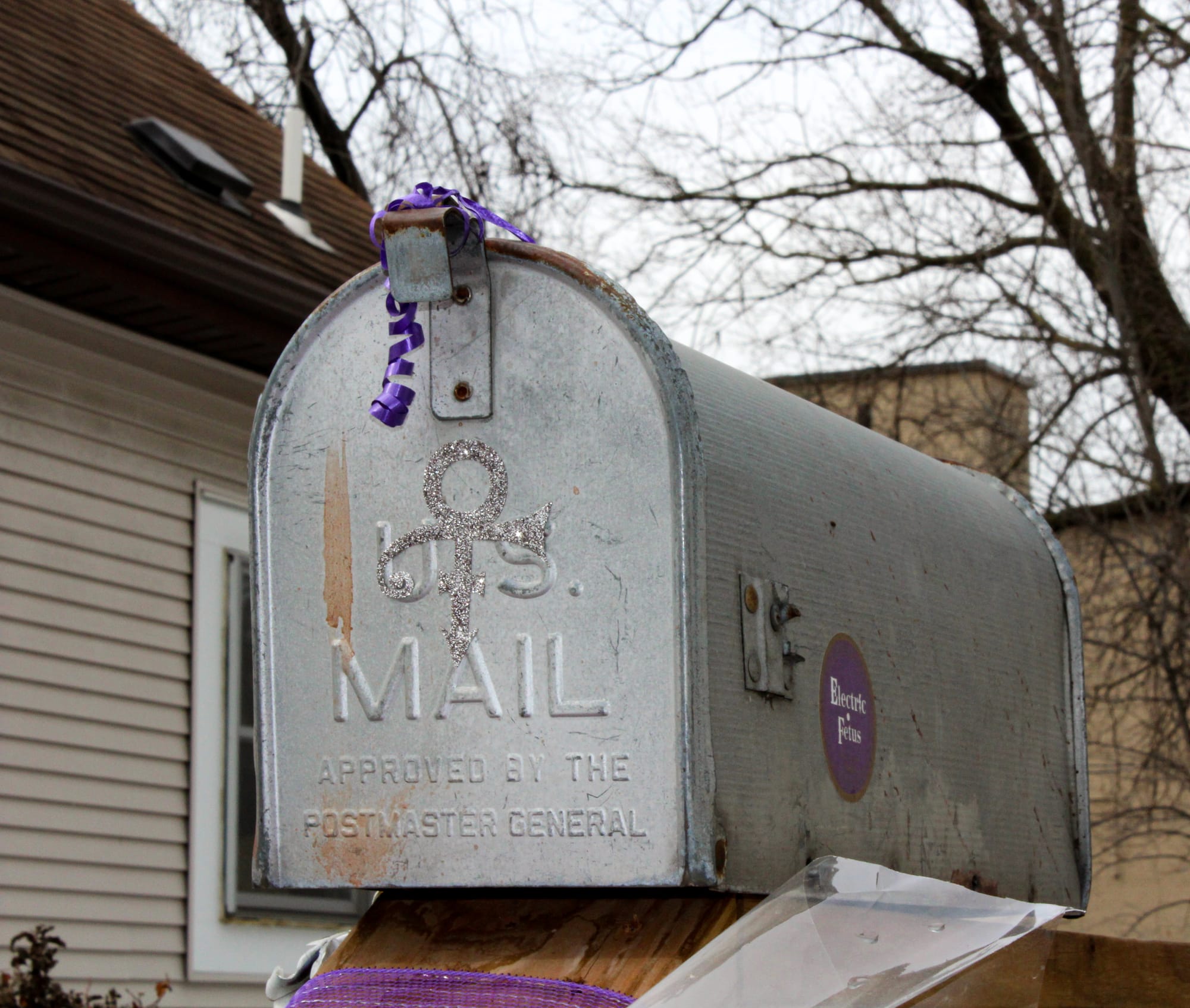 Mailbox at "Purple Rain House"