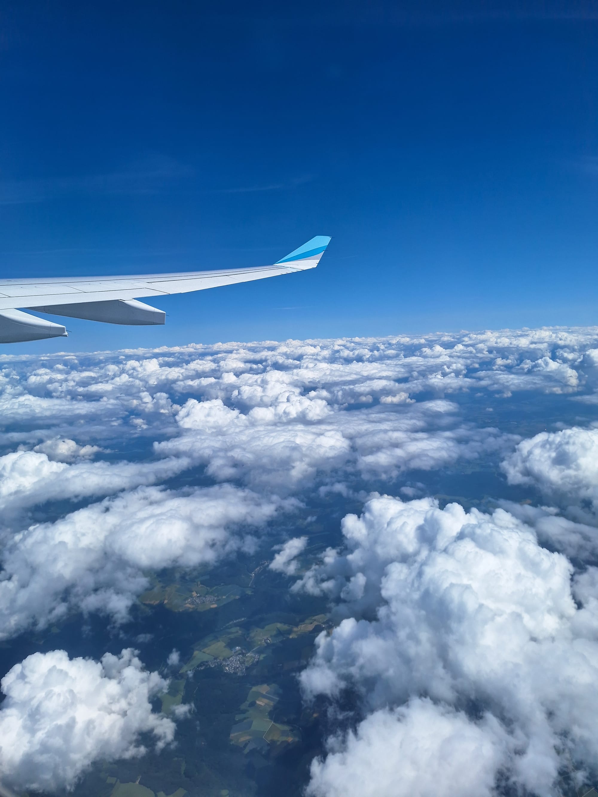 Flight to MPLS