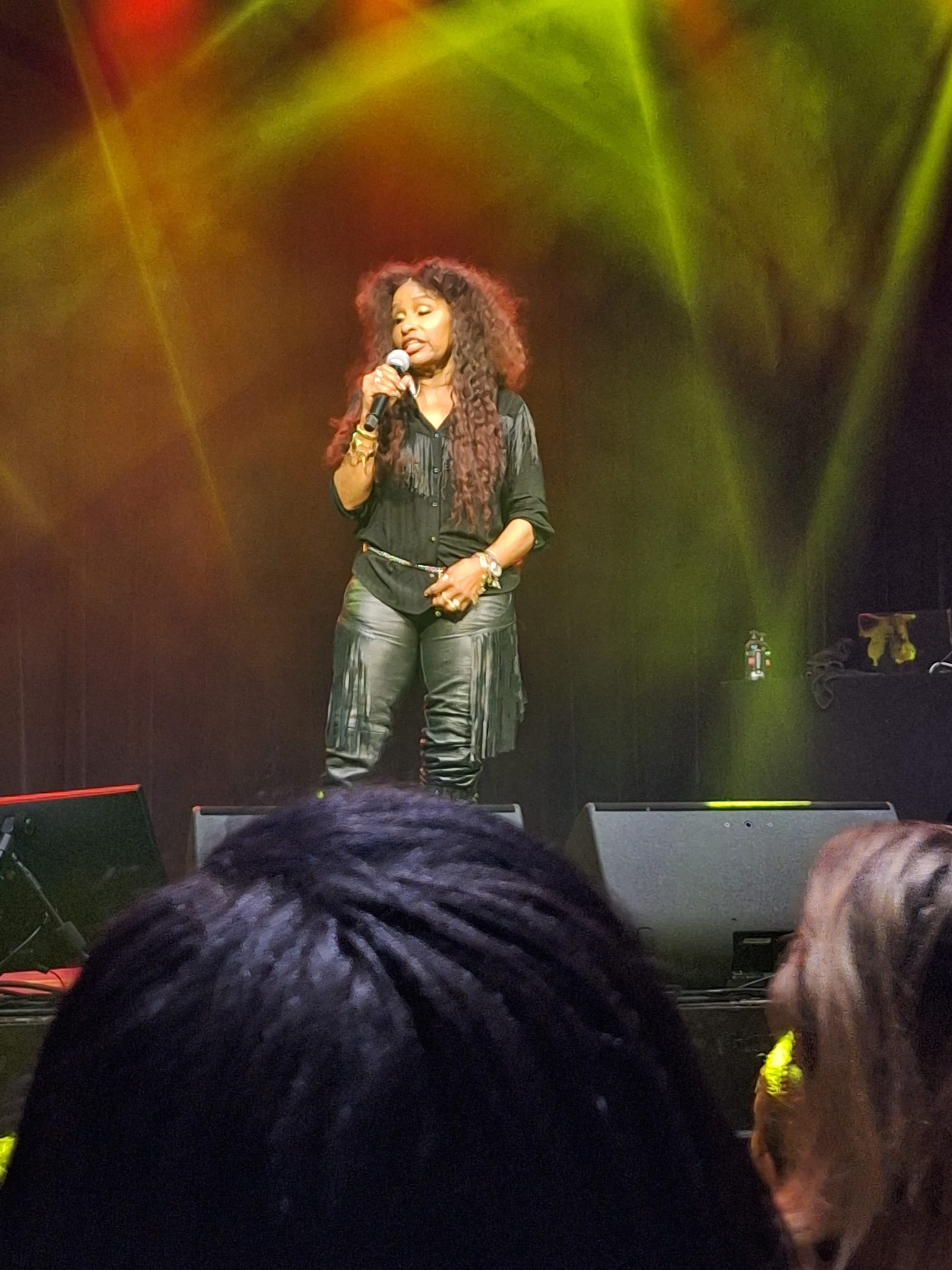 First Avenue Prince Celebration 10th Anniversary Kickoff Party with special guest Chaka Khan