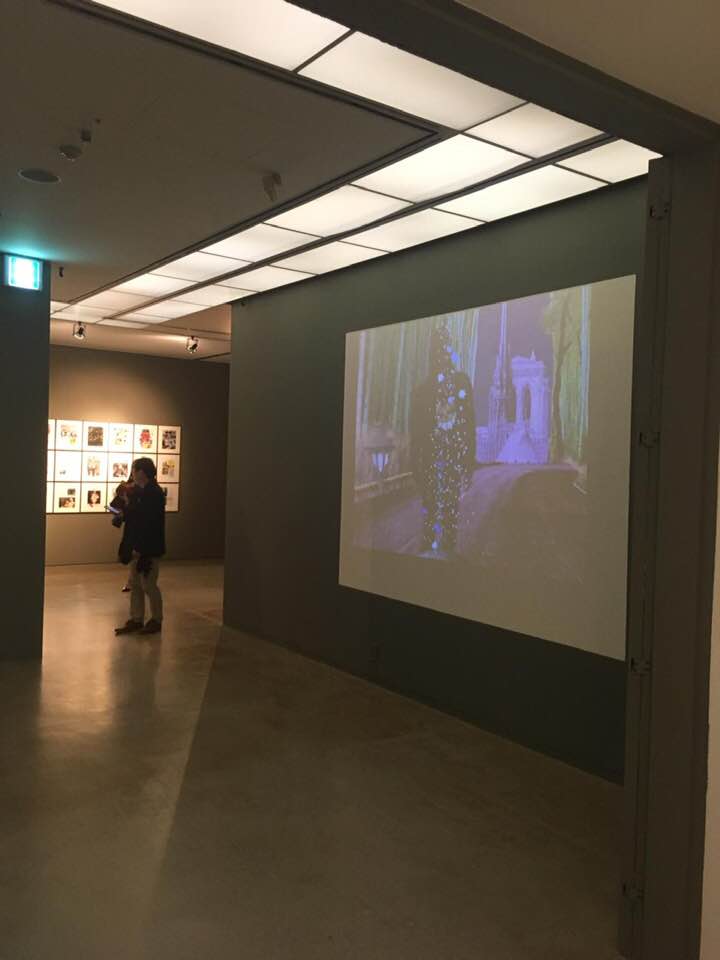 EXPOSITION MR CHAT ET MON CLIP SUR MR CHAT