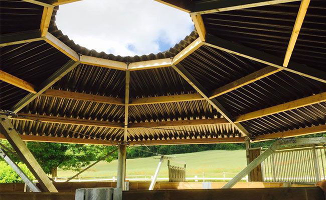 Hippocenter Fedett Körjártató Comfort Műanyag Tető&deszka Palánk