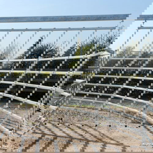 Hippocenter Körjártatón Csöves Elválasztó