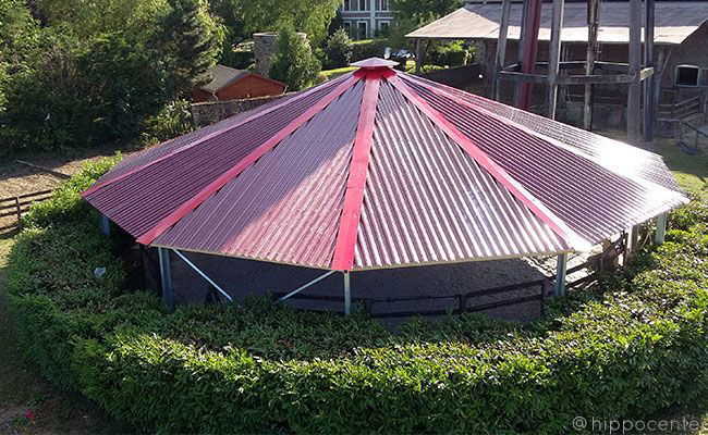 Hippocenter Fedett Futószárazó Kör Basic