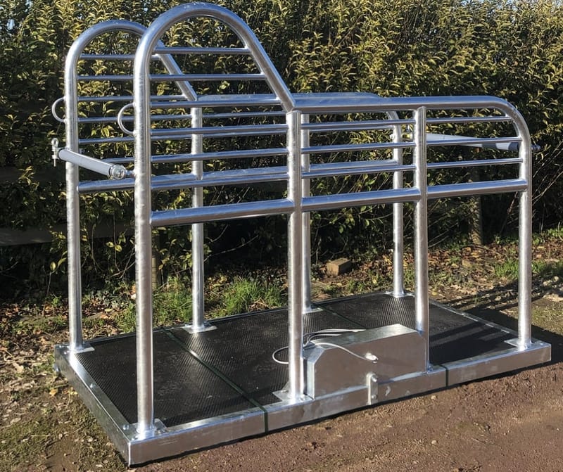 Hippocenter Vibrációs Kaloda Lovaknak