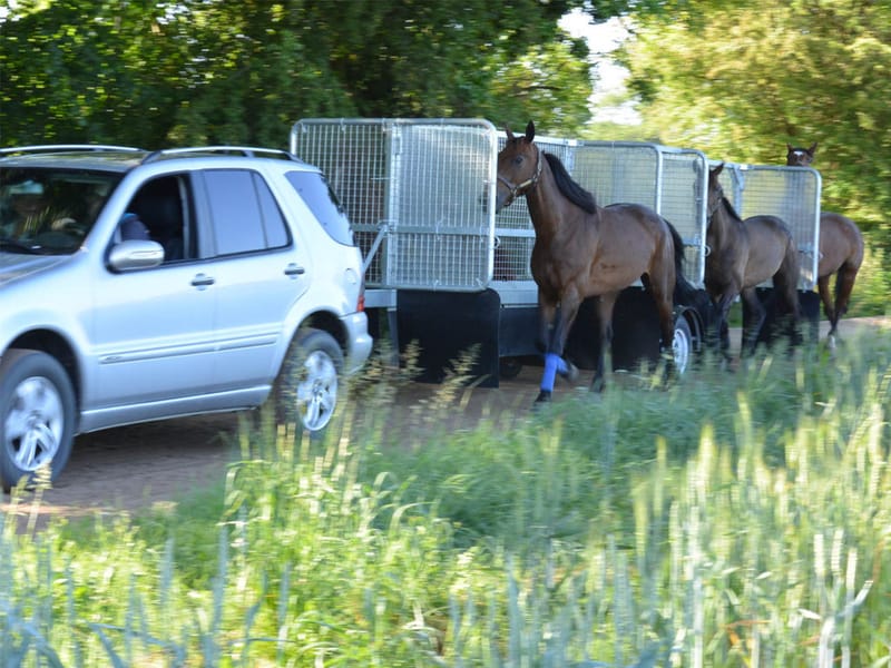 Hippocenter Vontatható Jártató Összeszerelve