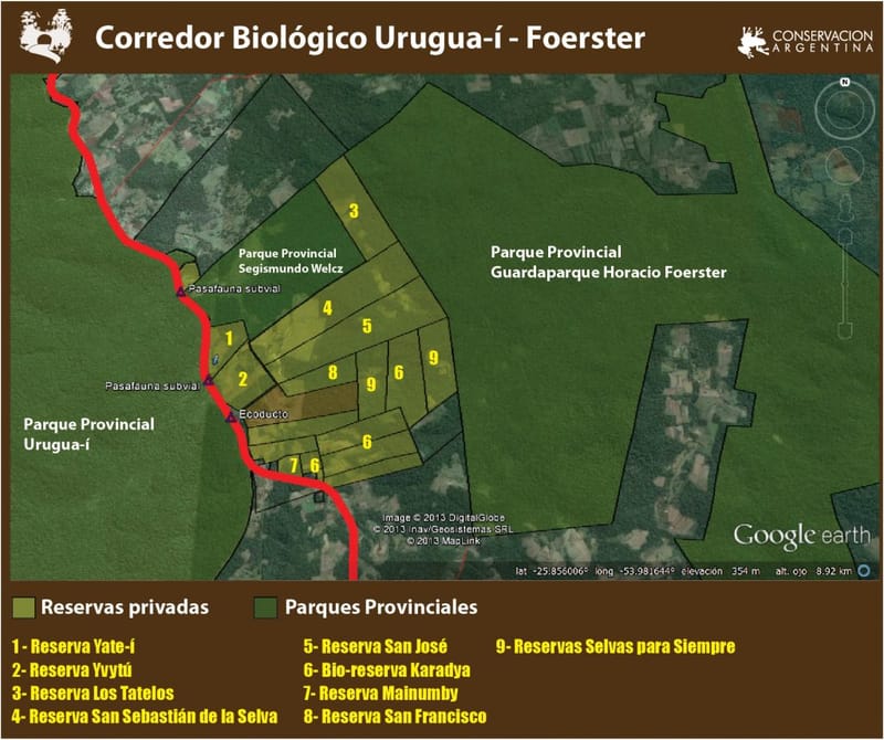 Corredor Föester