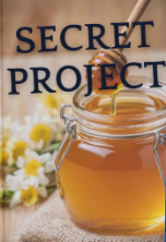 Secret Project, Announcement Coming Soon