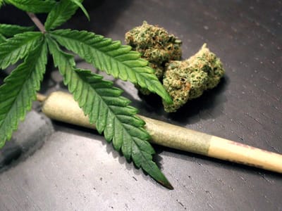 Is Medical Cannabis Safe for Daily Use?
