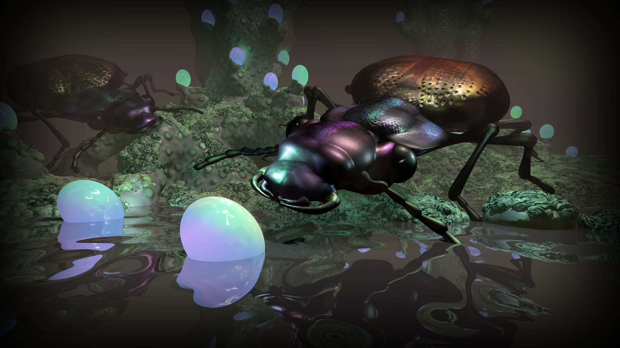 Beetles and Blobs