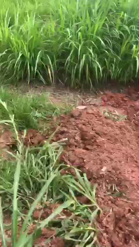 Obra de uma quadra Poliesportiva no munícipio de Jambeiro/SP