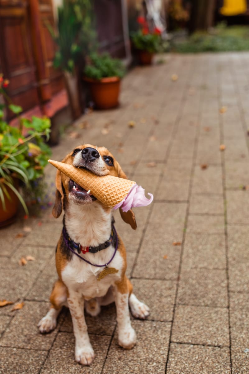 Parkova Cafe by Gałka