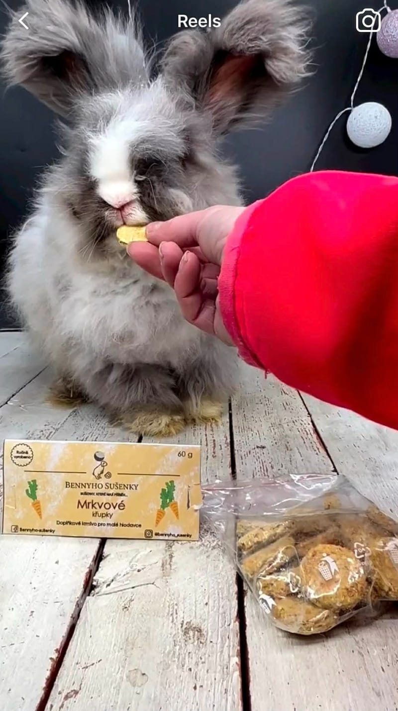 Obalový design v praxi