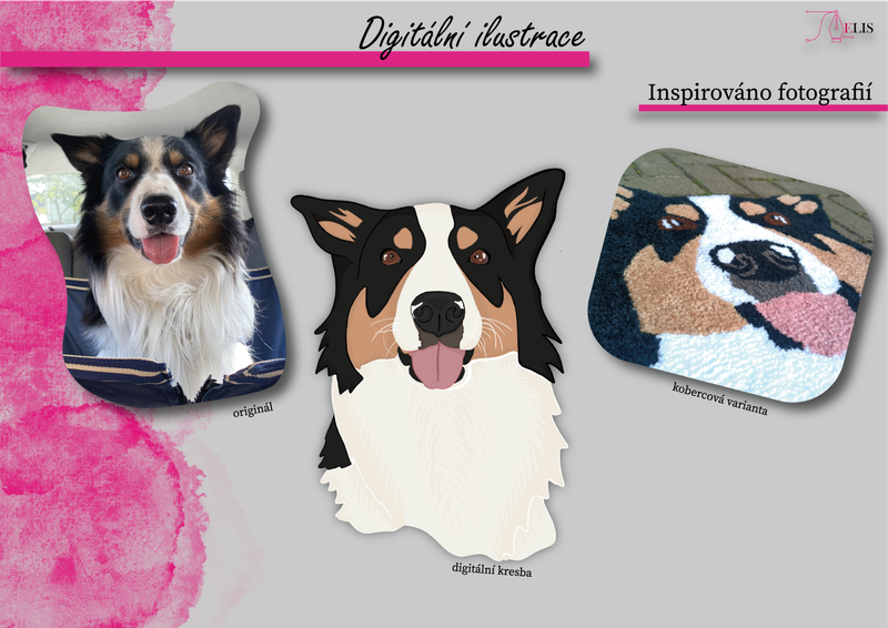 Tvorba digitální ilustrace v programu Procreate