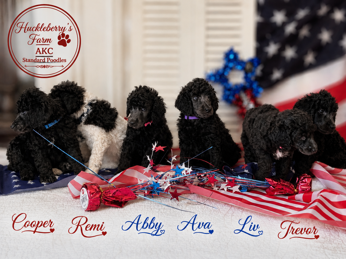 Meet Our Memorial Day 2026 Litter