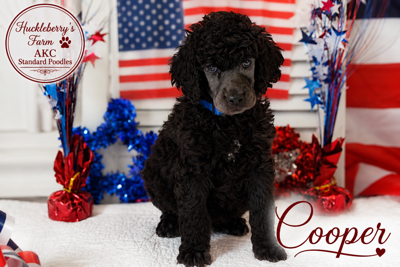 Cooper