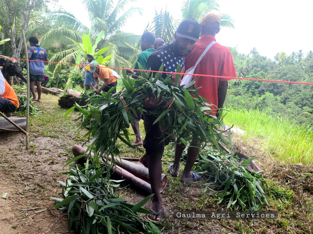 Vanilla Farmers Boosted with Climate Smart Vanilla Cultivation, Husbandry and Processing Training.