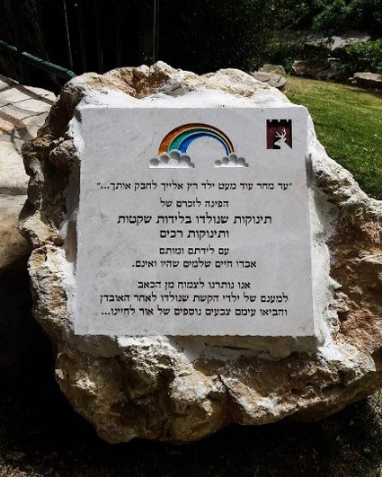 אלו ילדייך? התבוננות מורחבת על המושג ילדים בראי הקונסטלציה המשפחתית והאפיגנטיקה
תוך התייחסות להפלות ואובדני היריון