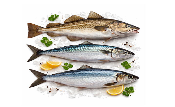 Mindre makrellkvote ønskes kjøpt