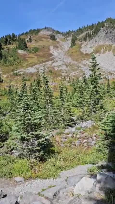 Skyline Loop Trail