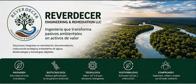 Portafolio de Reverdecer