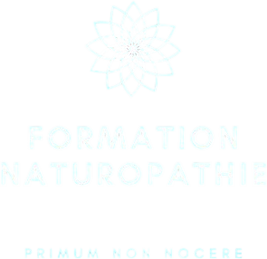 Formation Naturopathie Primum Non Nocere