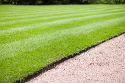 Top 30 Lawn Care Tips for Healthy Grass, Clean Edges, and Low Maintenance Yards