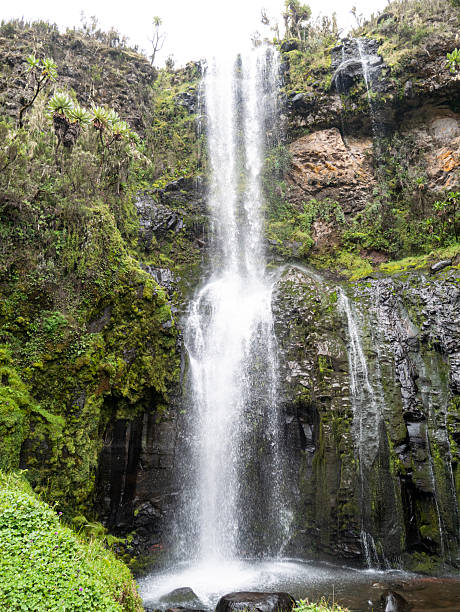 Historical Adventures