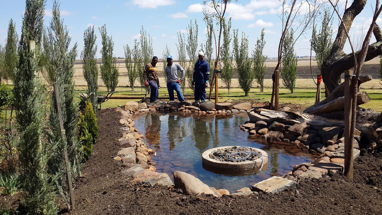 Fish Farming in Kenya: A Viable Business for Beginners?