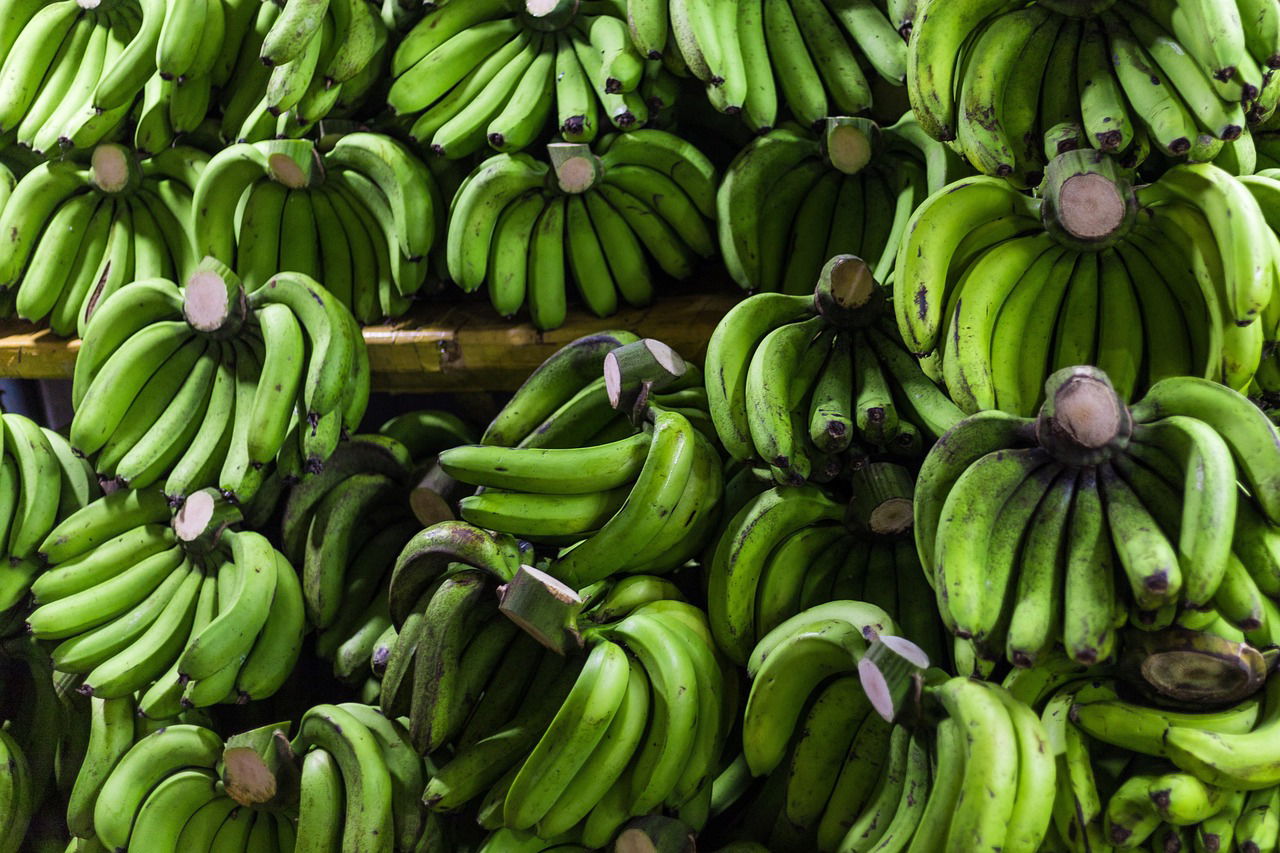 Banana Value Addition Business in Kenya