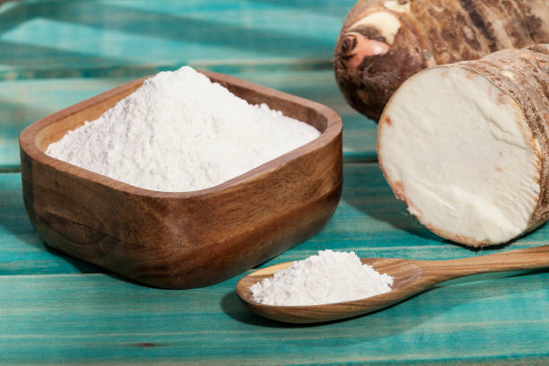 Arrowroot Flour Value Addition Business in Kenya