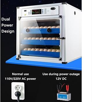 How One 204-Egg Incubator Can Make KSh 50,000 Per Month in Kenya