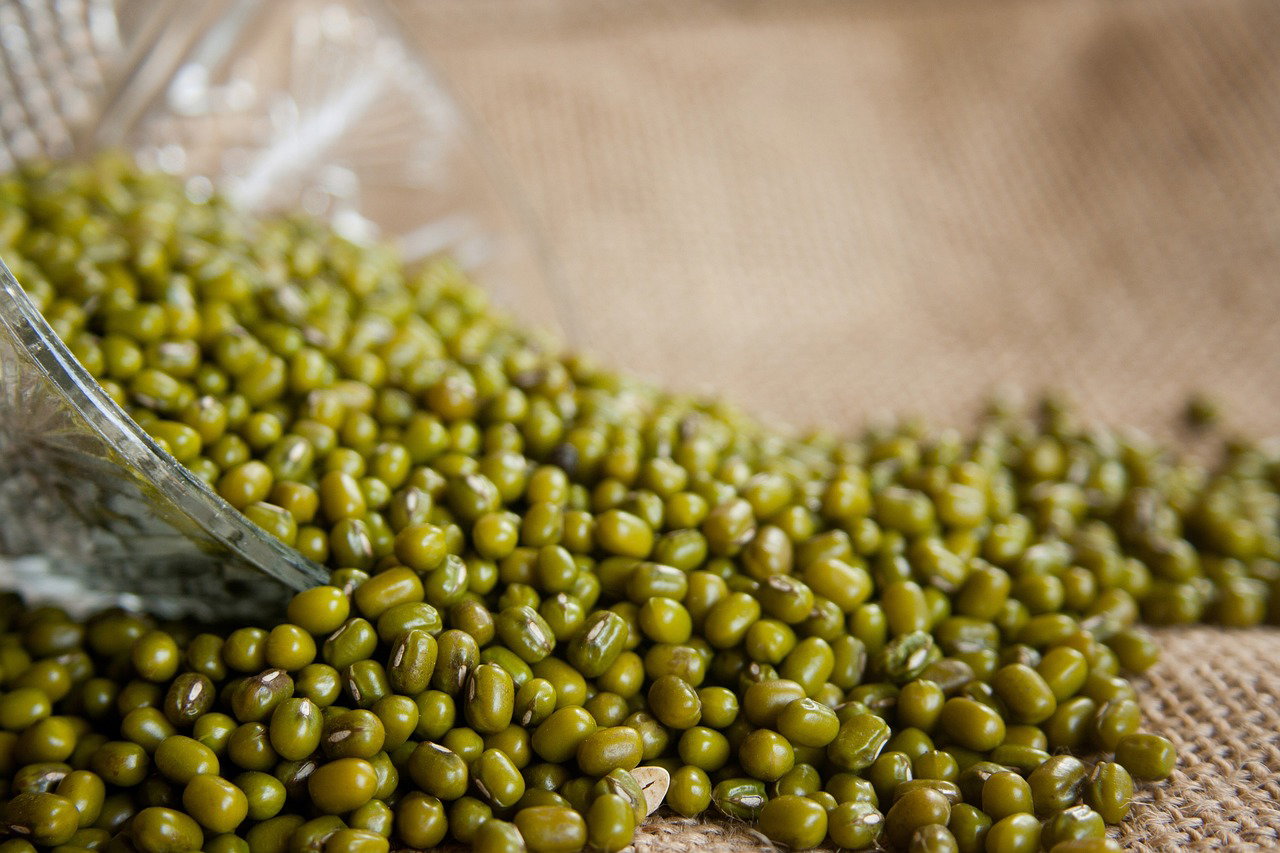 Why Boiled Cereals Can Be a Good SME Opportunity in Kenya