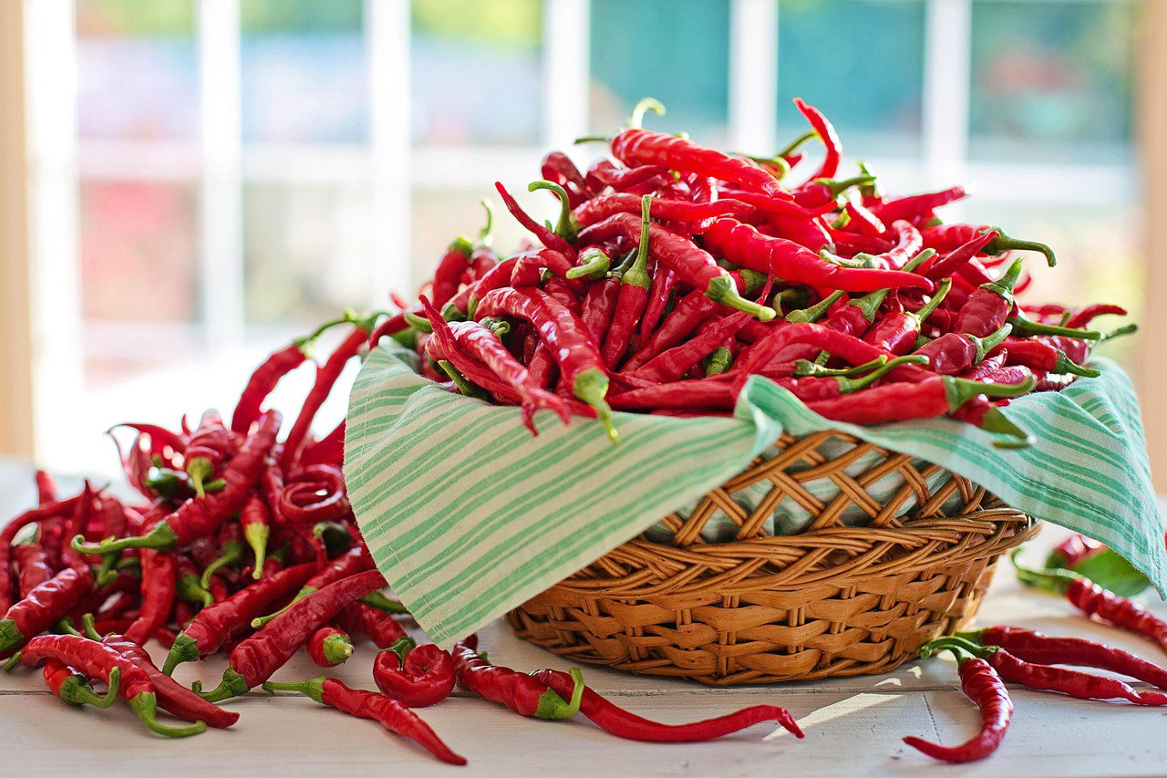 Cayenne Pepper Farming in Kenya: 1-Acre Production Costs, Capital, and Net Profit Projections